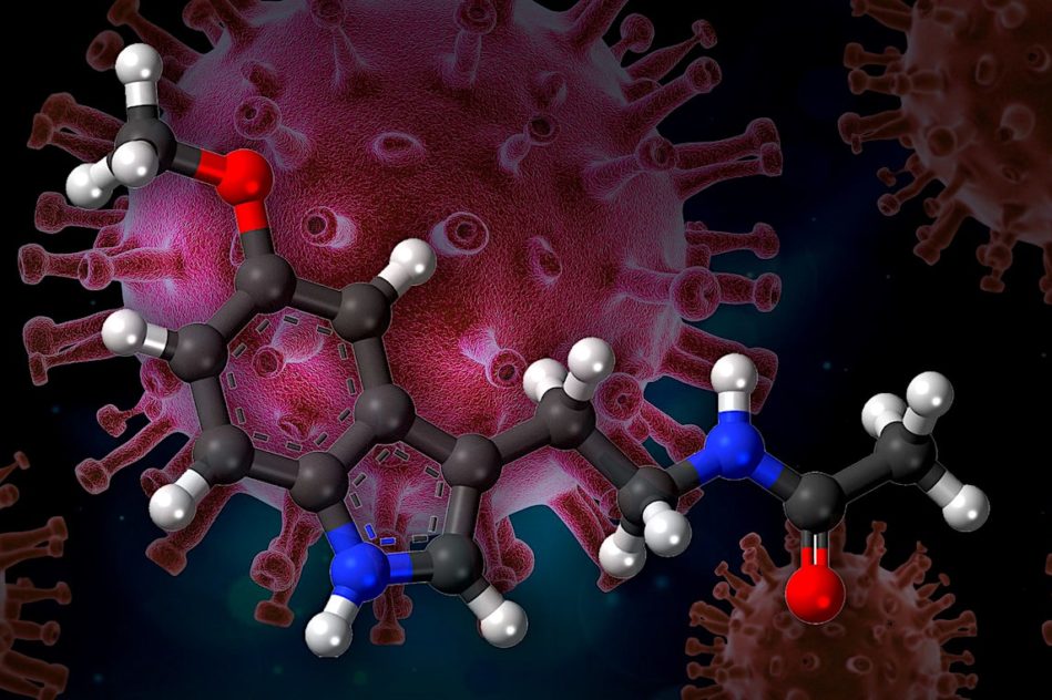 melatonine potentiel traitement covid-19