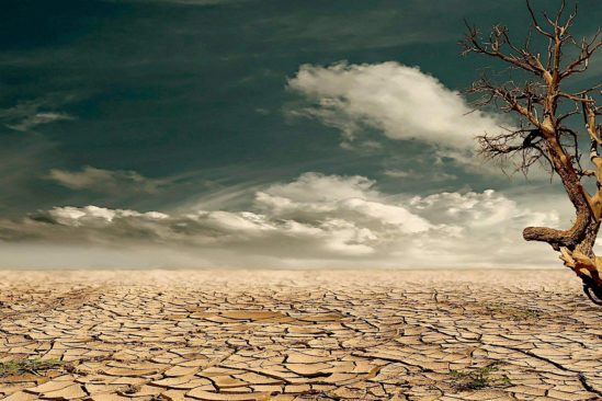 rechauffement climatique pourrait liberer milliards tonnes carbone sol