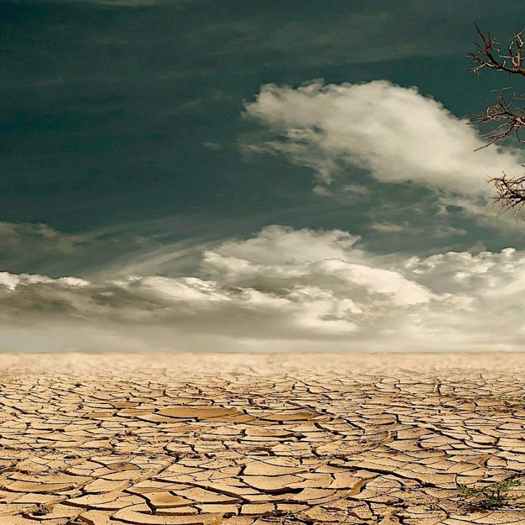 rechauffement climatique pourrait liberer milliards tonnes carbone sol