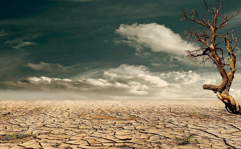 rechauffement climatique pourrait liberer milliards tonnes carbone sol