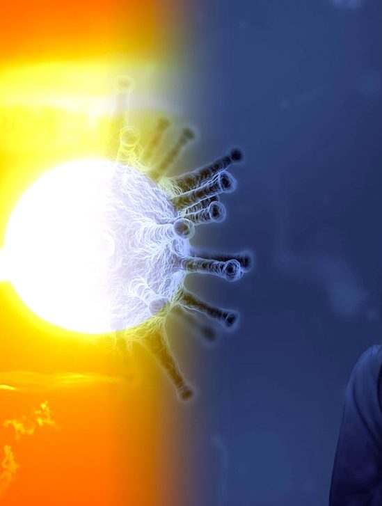 role soleil propagation maladies respiratoires virales