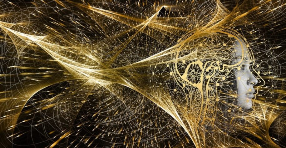 similitudes réseaux cerveau univers