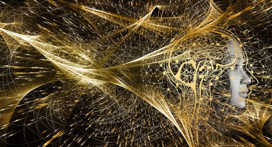 similitudes réseaux cerveau univers