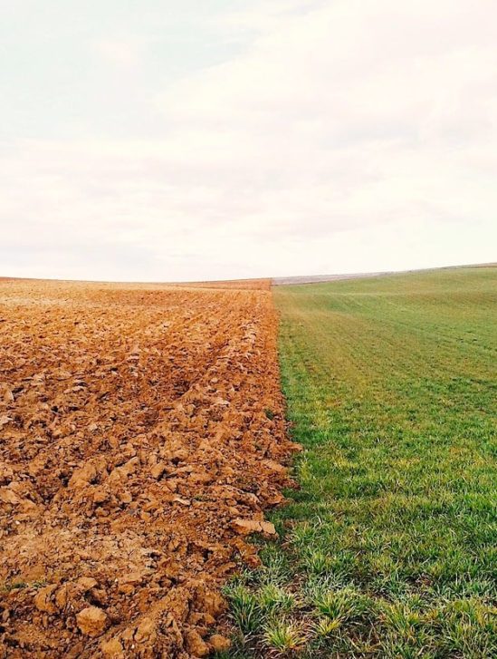 terre auto arrosante pourrait transformer agriculture