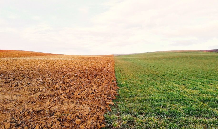 terre auto arrosante pourrait transformer agriculture