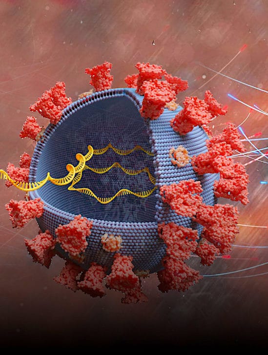 vaccins arnm comment fonctionnent-ils