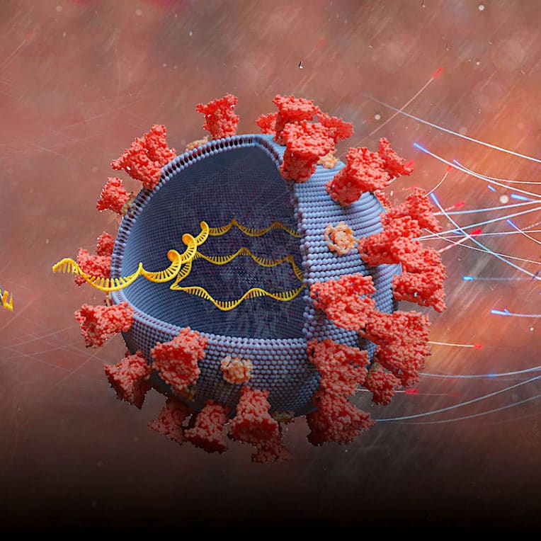 vaccins arnm comment fonctionnent-ils