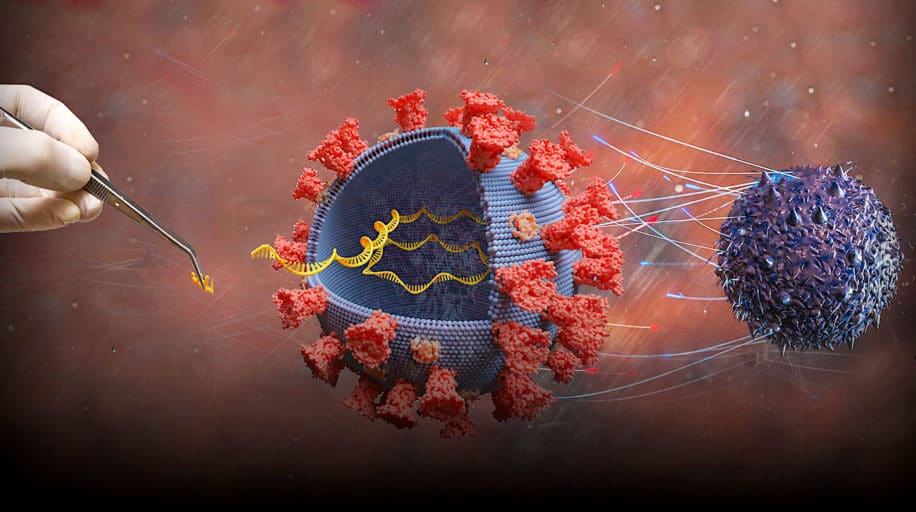 vaccins arnm comment fonctionnent-ils