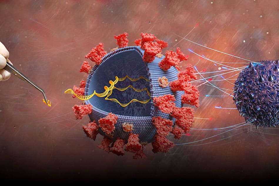 vaccins arnm comment fonctionnent-ils