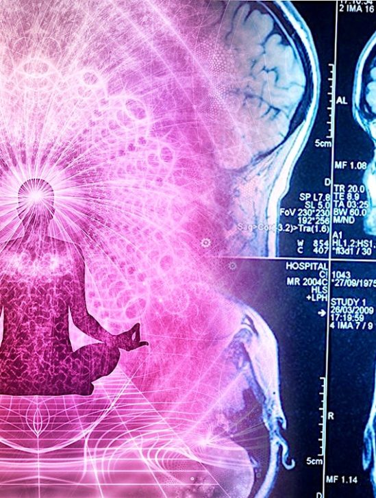 yoga renforce regions cerveau touchees par vieillissement