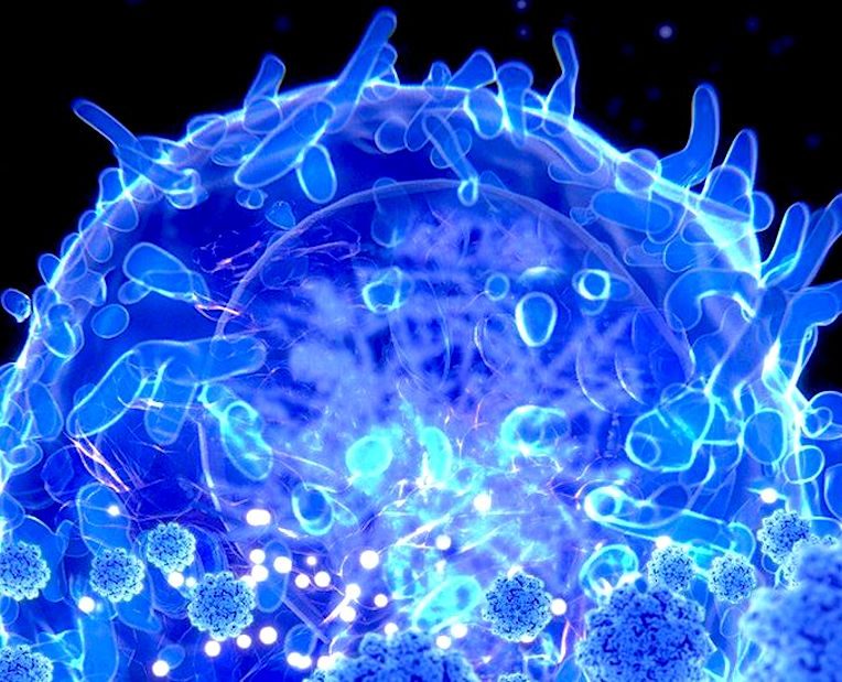 cellules t genetiquement modifiees therapies pour maladies auto-immunes