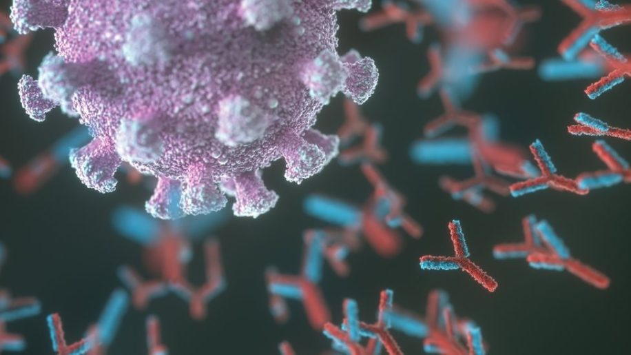covid induirait forme maladie autoimmune cas plus graves