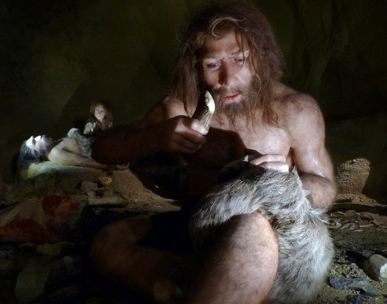 indices hibernation hominidés