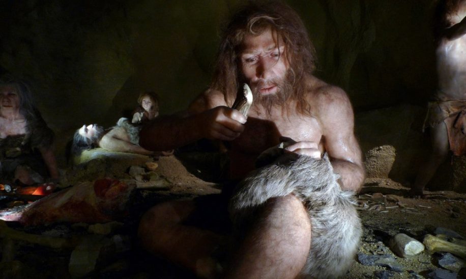 indices hibernation hominidés