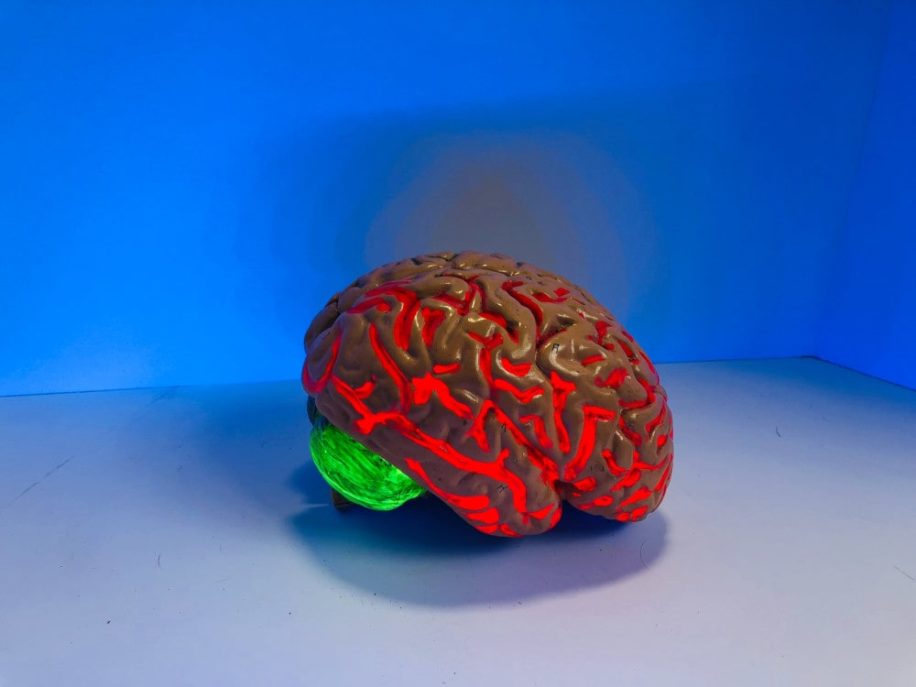 médicament traitement déclin cognitif