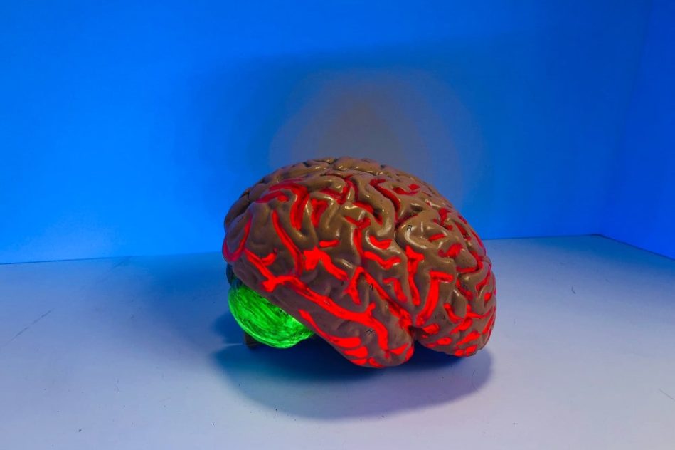 médicament traitement déclin cognitif