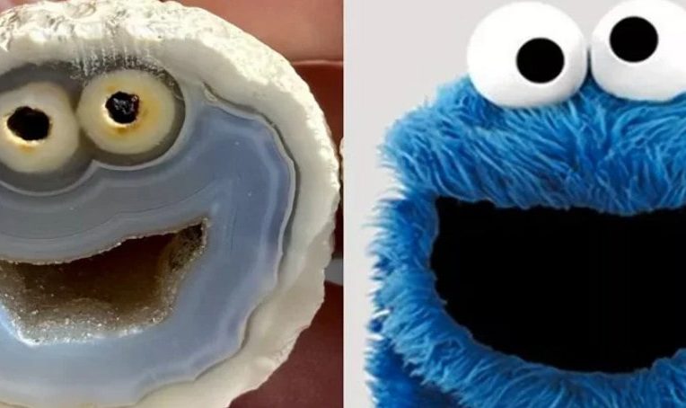 agate cookie monster