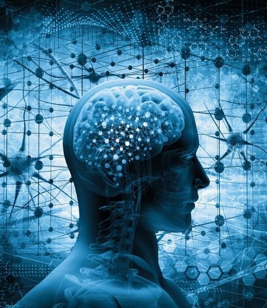 chercheurs identifient mecanisme majeur vieillissement cerebral