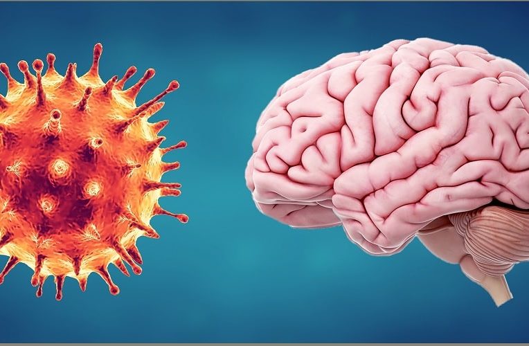 comment covid affecte cerveau