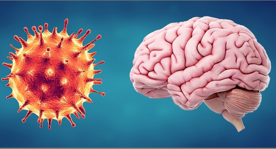 comment covid affecte cerveau