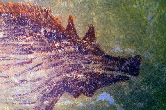 decouverte peinture animaux connue grotte indonesienne