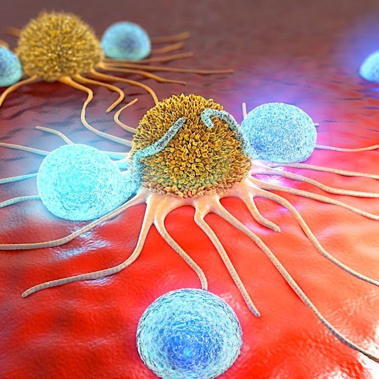 eliminer cancer liberant systeme immunitaire