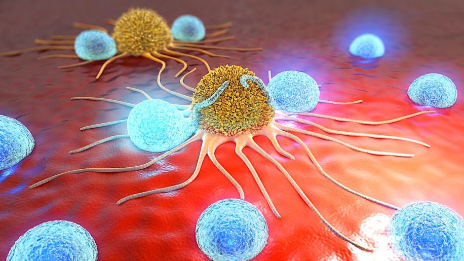 eliminer cancer liberant systeme immunitaire