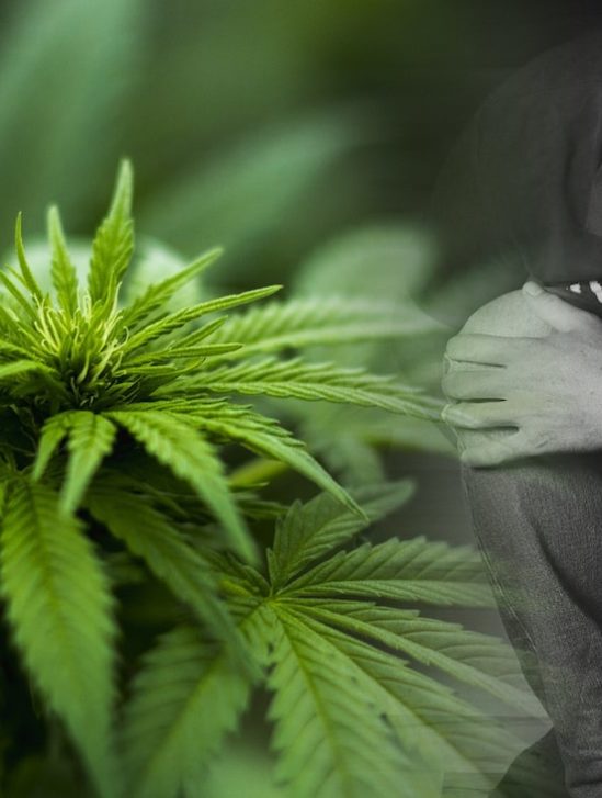 etude long terme revele mefaits cannabis