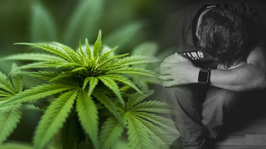 etude long terme revele mefaits cannabis