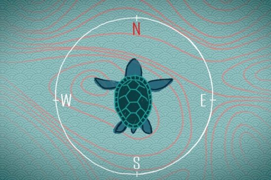 mecanique quantique permet animaux detecter champs magnetiques