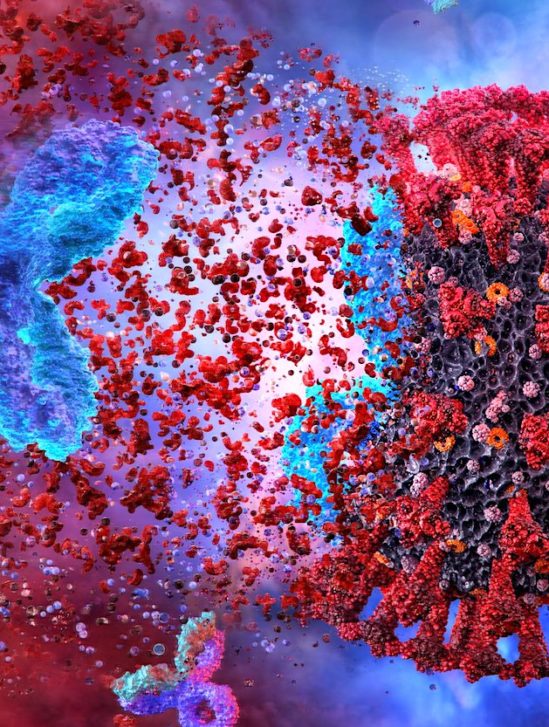 nouvel anticorps protege sars-cov-2 et variants empeche mutations