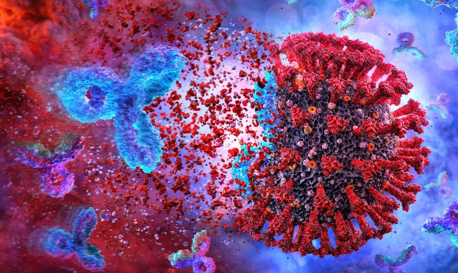 nouvel anticorps protege sars-cov-2 et variants empeche mutations