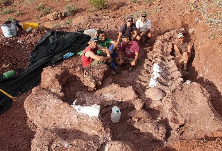 os fossilises plus grand dinosaure jamais decouvert