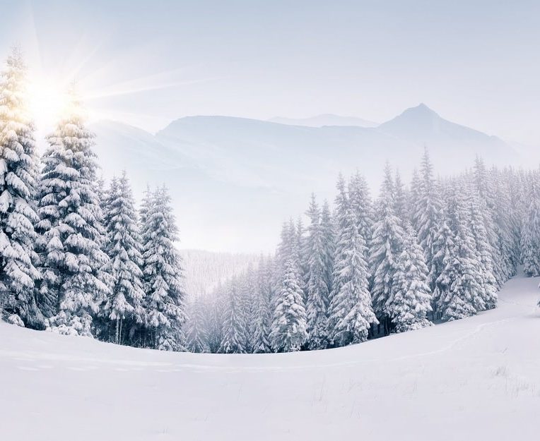 pourquoi neige est blanche