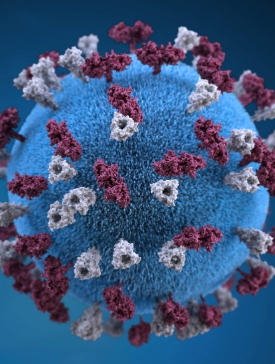 variants virus Etats-Unis