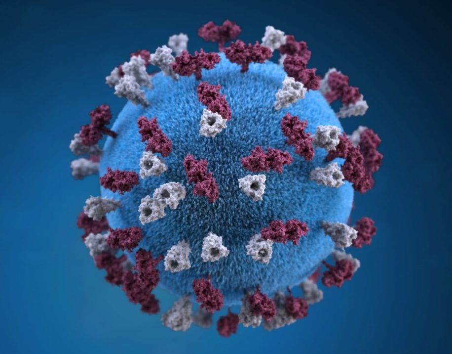 variants virus Etats-Unis