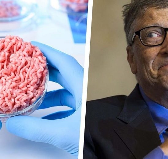 bill gates pays riches devraient passer boeuf synthetique