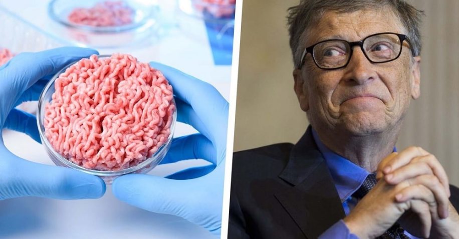 bill gates pays riches devraient passer boeuf synthetique