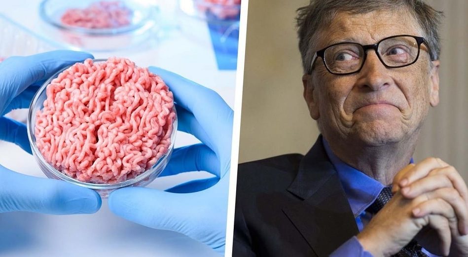 bill gates pays riches devraient passer boeuf synthetique