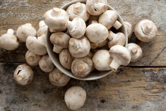 champignons constituent importante source nutriments essentiels