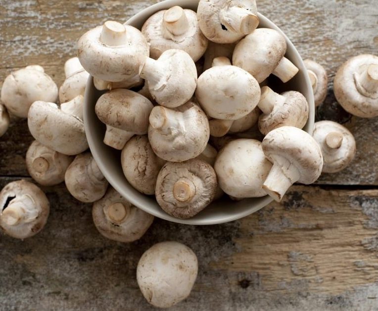 champignons constituent importante source nutriments essentiels