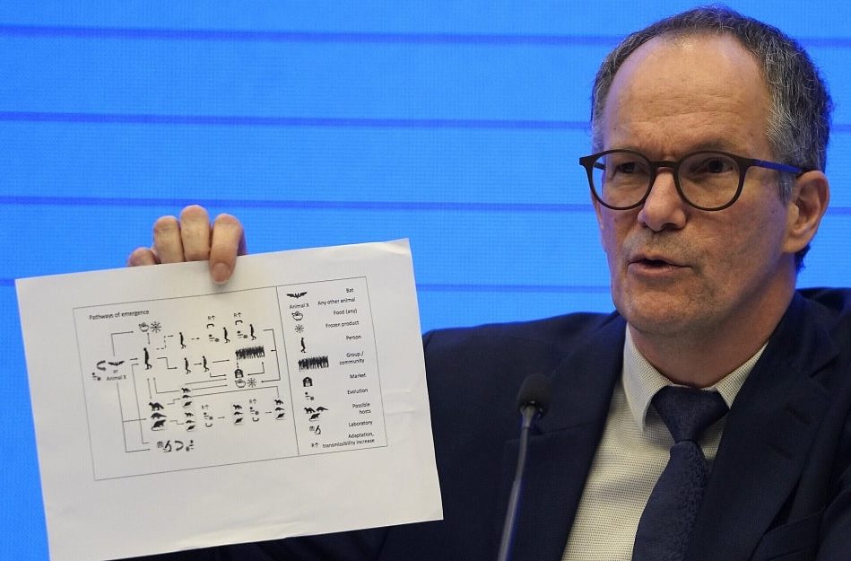 covid equipe enquete oms juge improbable fuite laboratoire