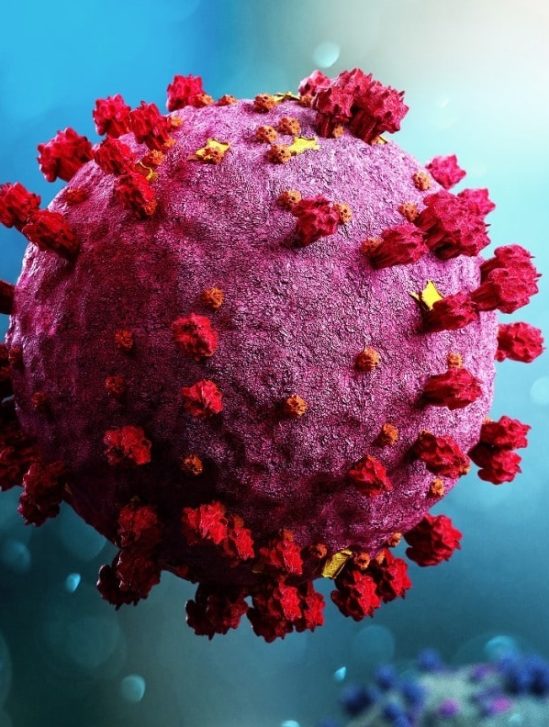 covid nouveau traitement duper virus avant infection cellules resultats prometteurs