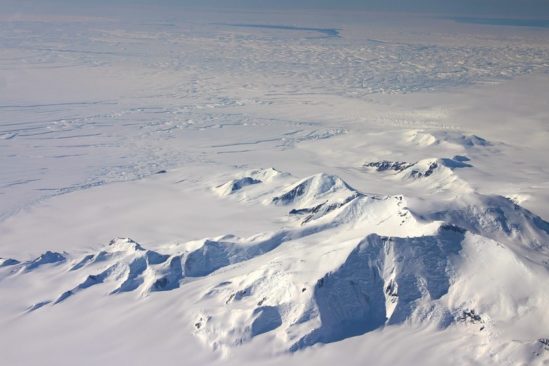 decouverte inattendue organismes sous banquise antarctique