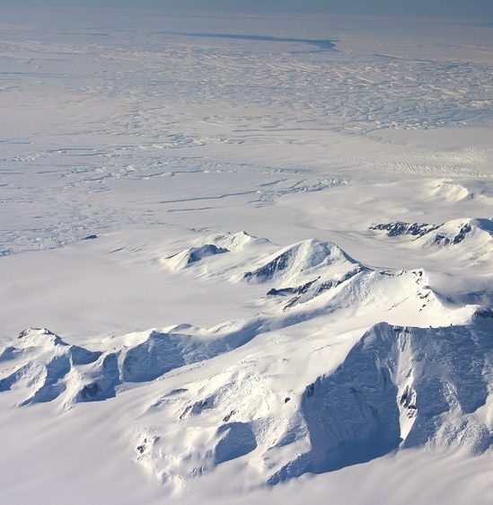 decouverte inattendue organismes sous banquise antarctique