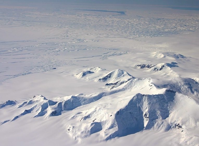 decouverte inattendue organismes sous banquise antarctique