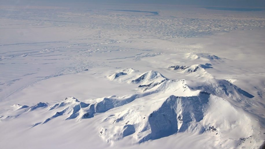 decouverte inattendue organismes sous banquise antarctique
