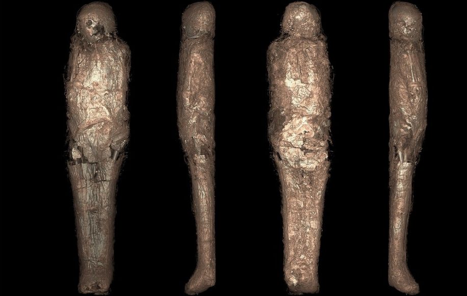decouverte momie egyptienne enveloppee etrange structure