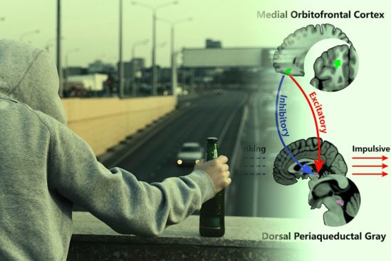 identification potentielle origine neuronale alcoolisme