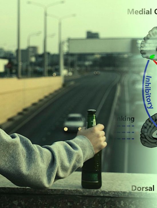 identification potentielle origine neuronale alcoolisme